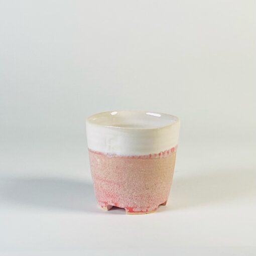 rosa cup